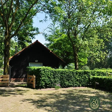 Beautiful In With Roofed Terrace Leende