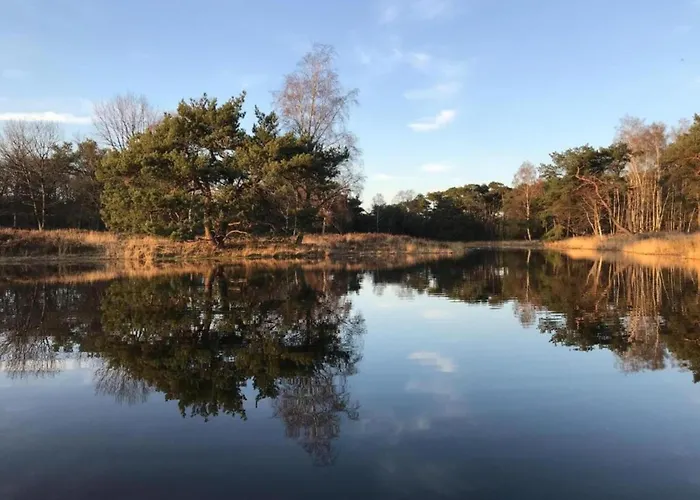 In With Hot Tub & Garden *
