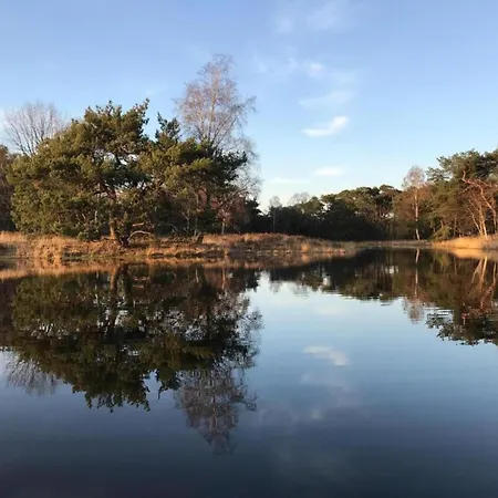 In With Hot Tub & Garden *