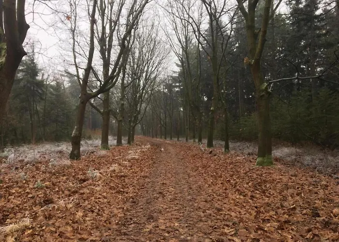 In With Hot Tub & Garden Vakantiehuis *