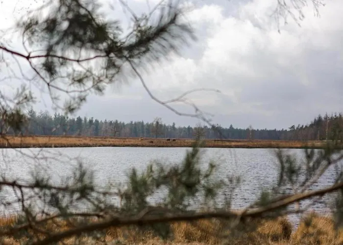 In With Hot Tub & Garden Leende